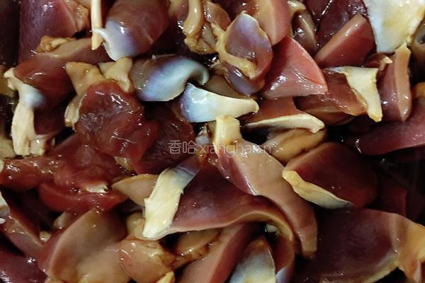鸭胗爆炒双椒（脆口超香）的做法图解4