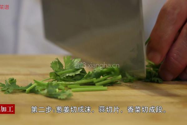 西红柿烧豆腐的做法图解3