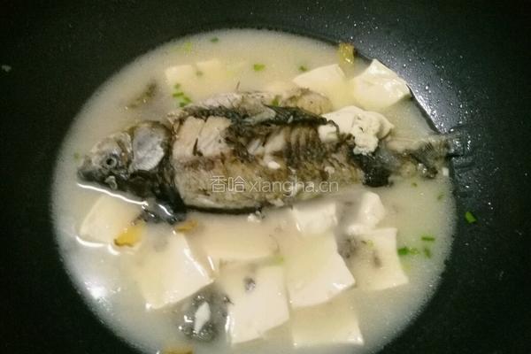 鲫鱼豆腐汤的做法图解4
