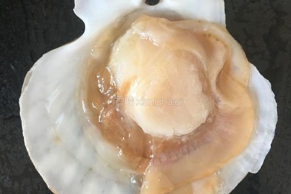 蒜蓉粉丝蒸扇贝的做法图解2