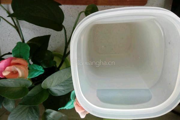 水蜜桃味脉动的做法图解3
