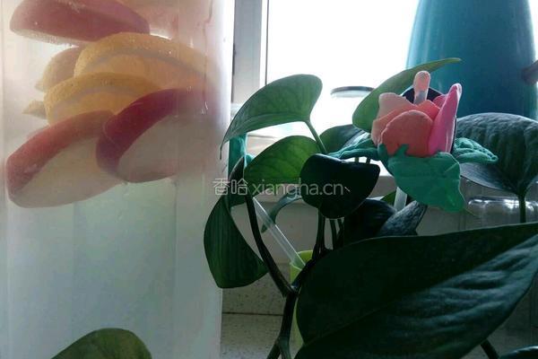 水蜜桃味脉动的做法图解6