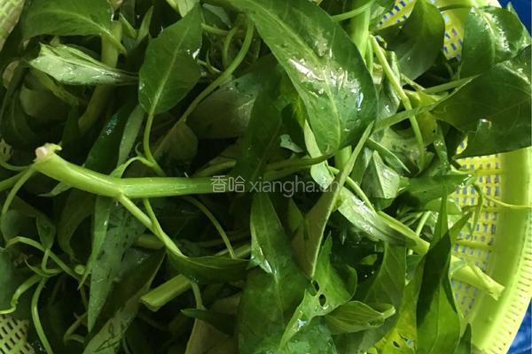 炒空心菜的做法图解3