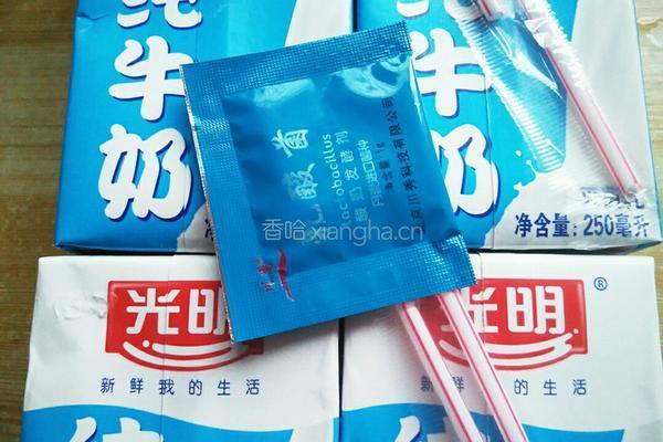 原味自制酸奶的做法图解2