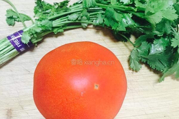 西红柿炖牛腩的做法图解4