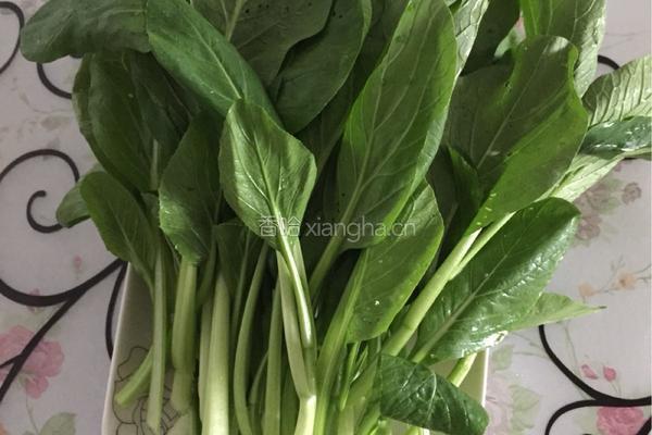 白灼菜心的做法图解1