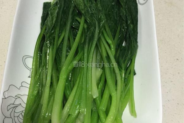 白灼菜心的做法图解6