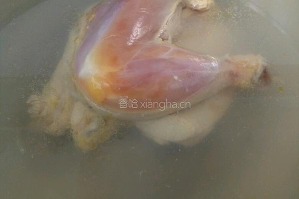 玉米牛奶炖鸡的做法图解2