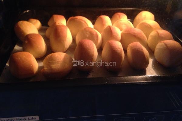 奶香小面包的做法图解9