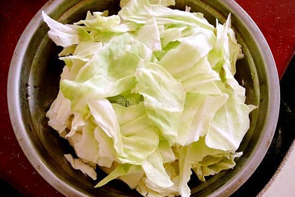 凉拌圆白菜的做法图解1