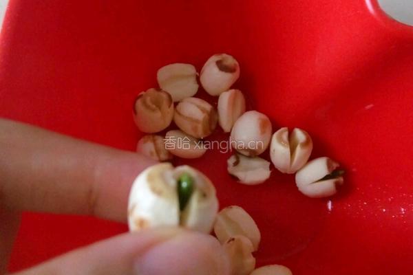 红豆山药薏米莲子粥（除湿气）的做法图解2