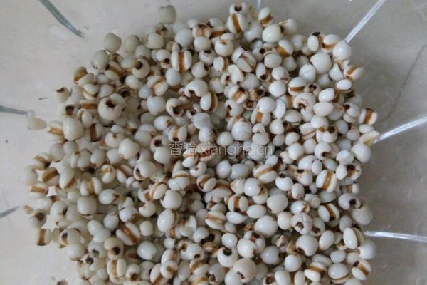 红豆山药薏米莲子粥（除湿气）的做法图解1