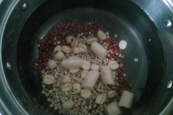 红豆山药薏米莲子粥（除湿气）的做法图解6