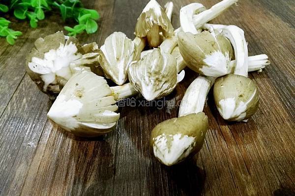 荔枝菌排骨汤的做法图解1