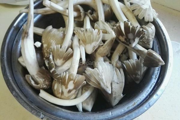 清蒸荔枝菌的做法图解2