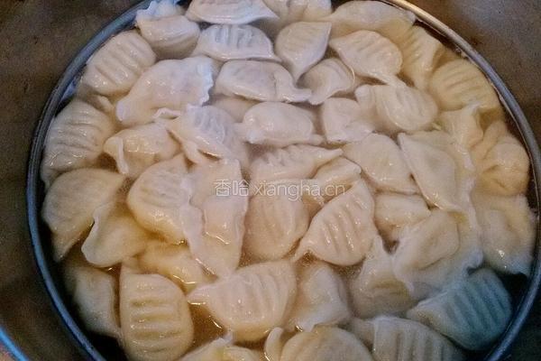 牛肉萝卜馅饺子的做法图解14