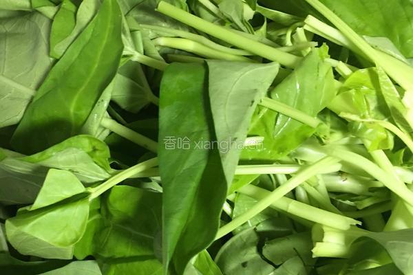 清炒空心菜的做法图解2