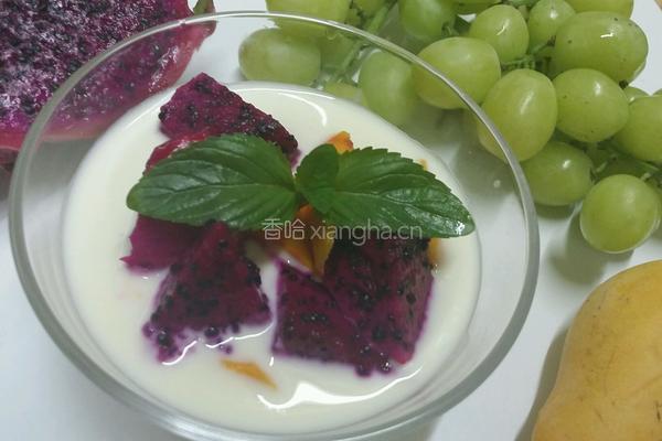 水果酸奶的做法图解4