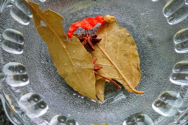 水煮花生的做法图解2