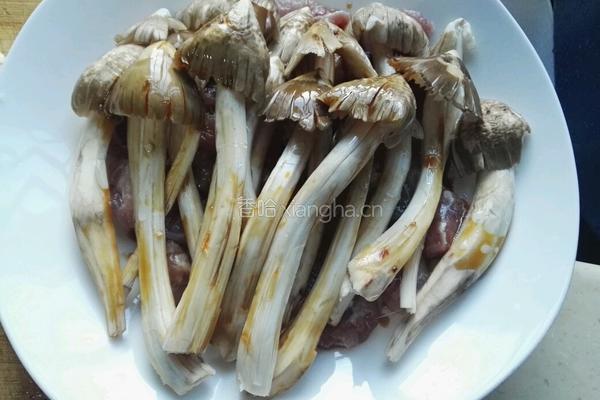 清蒸荔枝菌的做法图解4