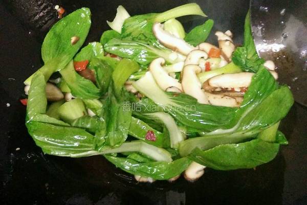 香菇青菜饭的做法图解5