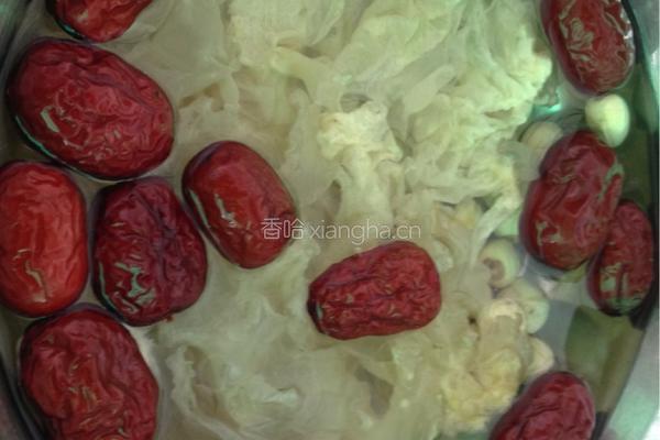 冰糖银耳红枣莲子汤的做法图解3