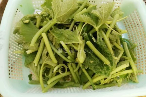 清炒南瓜藤的做法图解3