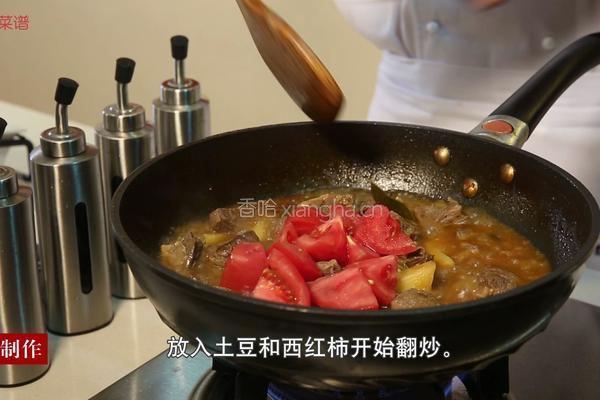 土豆西红柿炖牛腩的做法图解6