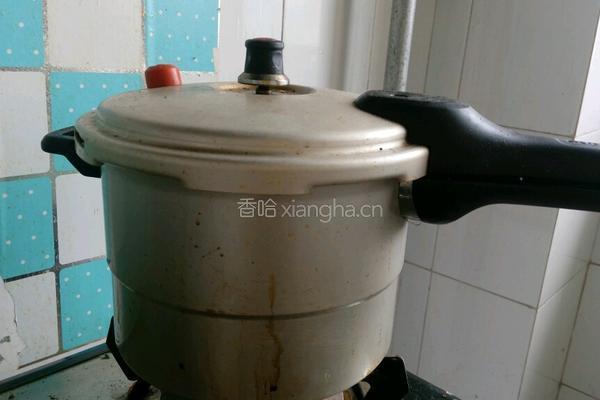 红烧肉炖土豆的做法图解4
