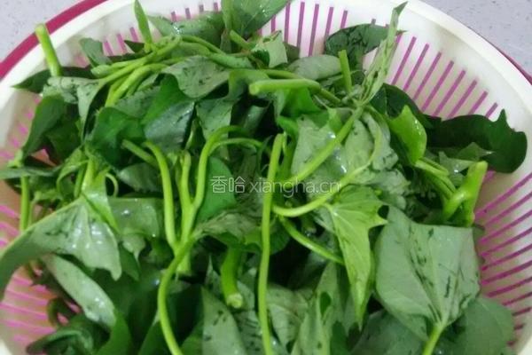 蒜茸红薯叶的做法图解2