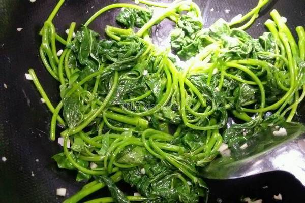 蒜茸红薯叶的做法图解7