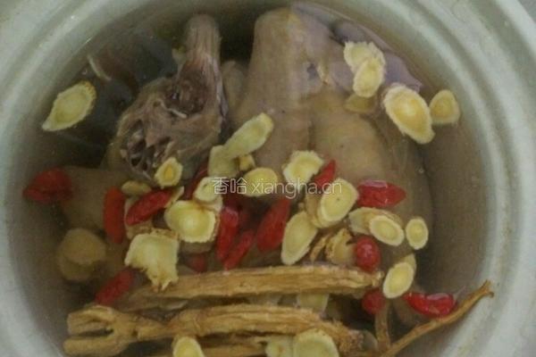 龙骨炖鸽子的做法图解3
