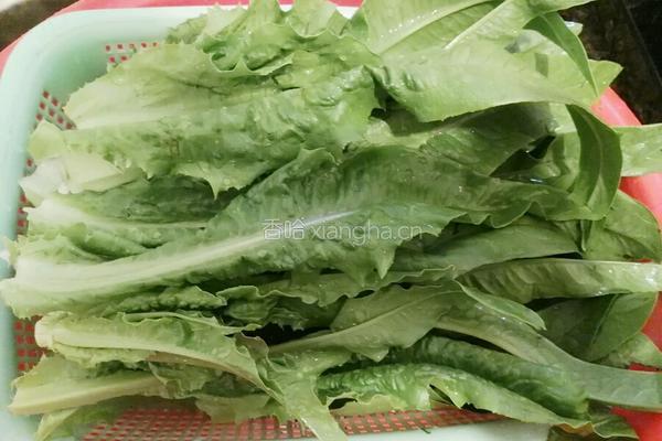 清炒麦菜的做法图解1