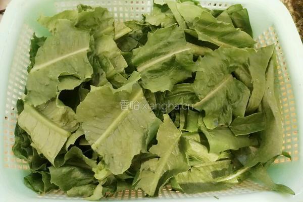 清炒麦菜的做法图解2