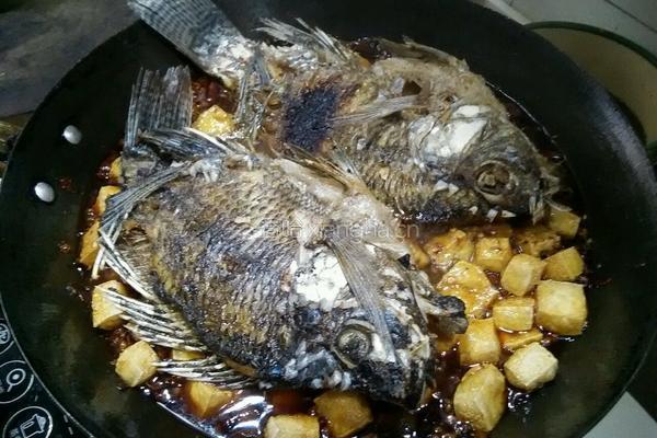 烤烧罗非魚的做法图解8