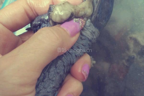 四物米酒乌鸡汤的做法图解2