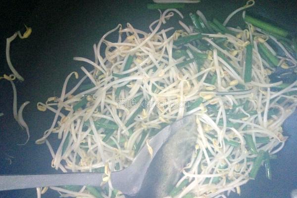 自发绿豆芽炒韭苔的做法图解5