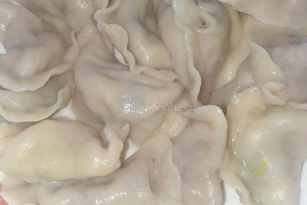 鲜肉茴香水饺的做法图解8