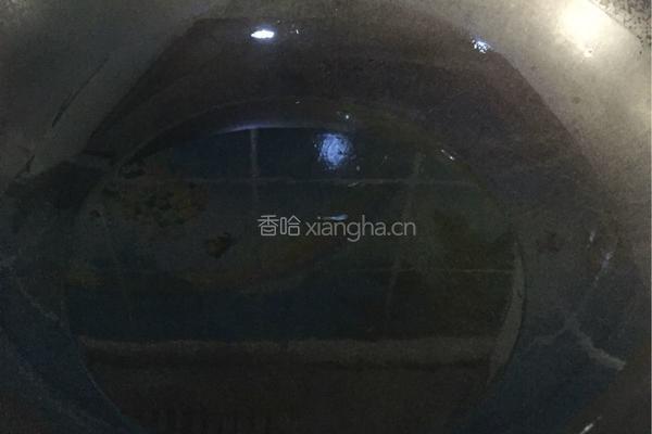 水煮鱼的做法图解5