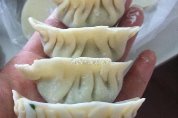 饺子的做法图解4