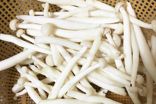 海鲜菇炒鸡蛋的做法图解3
