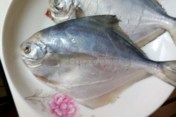 清蒸小白鲳鱼的做法图解2