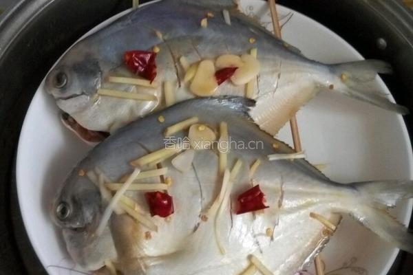 清蒸小白鲳鱼的做法图解6
