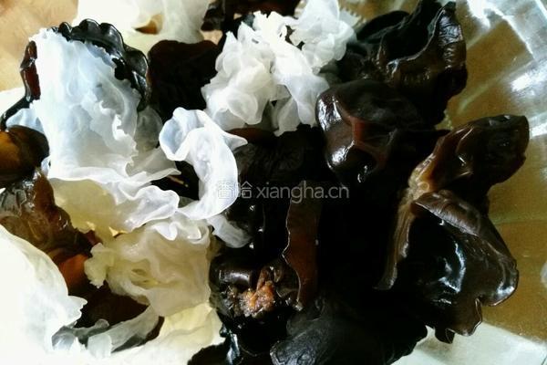 凉拌双耳的做法图解4