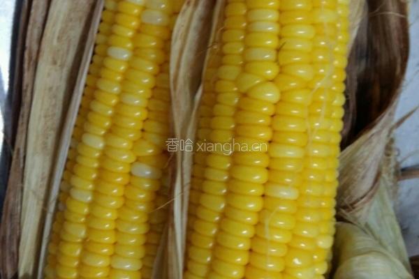 烤玉米的做法图解6