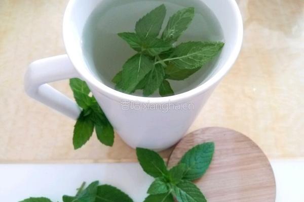 薄荷茶的做法图解3