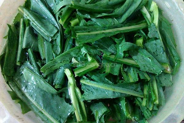 苦麦菜豆角汤的做法图解3
