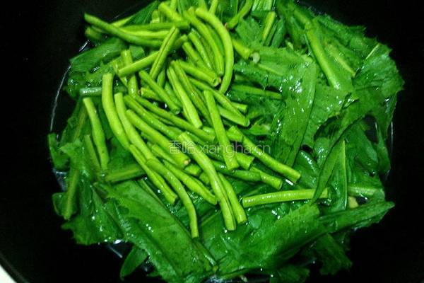 苦麦菜豆角汤的做法图解5