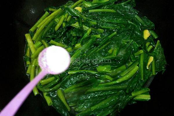苦麦菜豆角汤的做法图解6