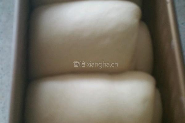 淡奶油吐司的做法图解6